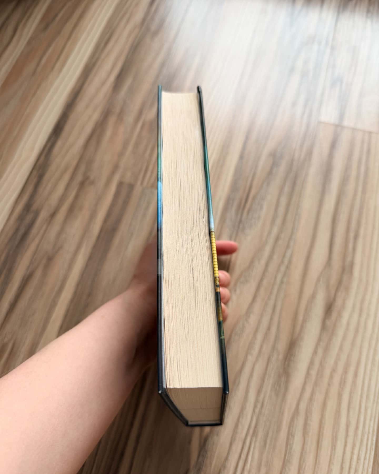 Велика брехня у маленькому місті-Діана Чемберлен