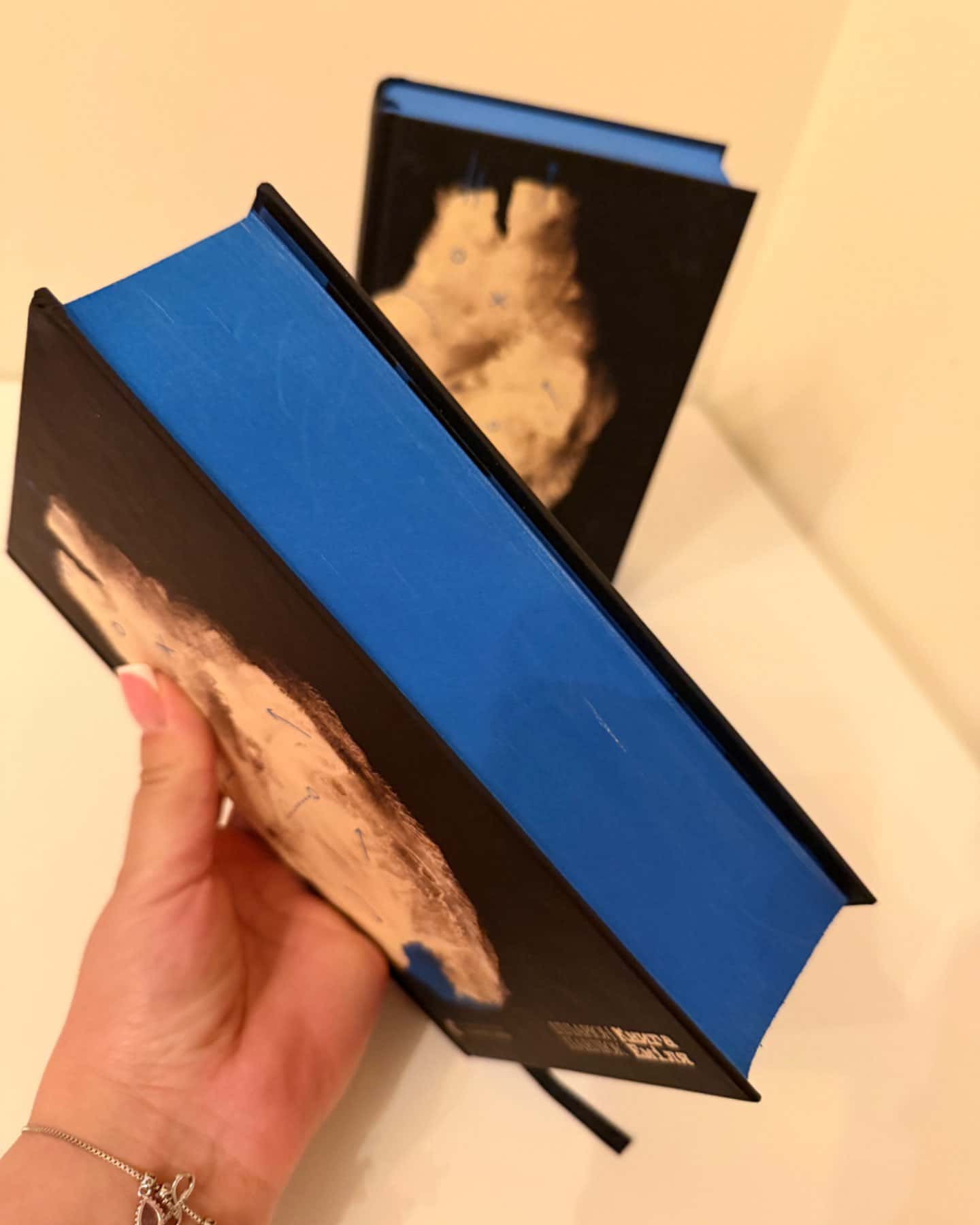 Книга Еміля-Ілларіон Павлюк