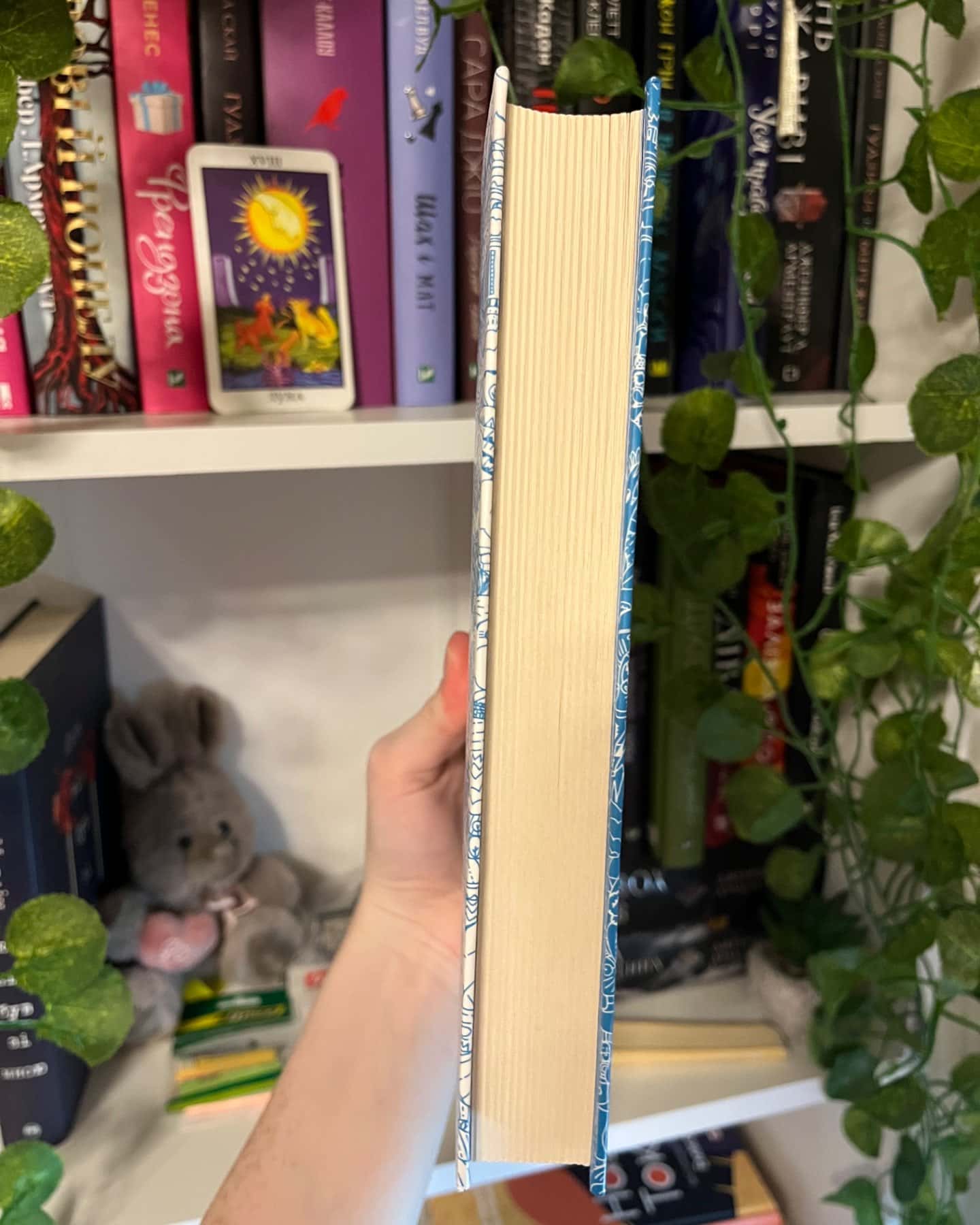 Брама Європи. Історія України від скіфських воєн до незалежності-Сергій Плохій