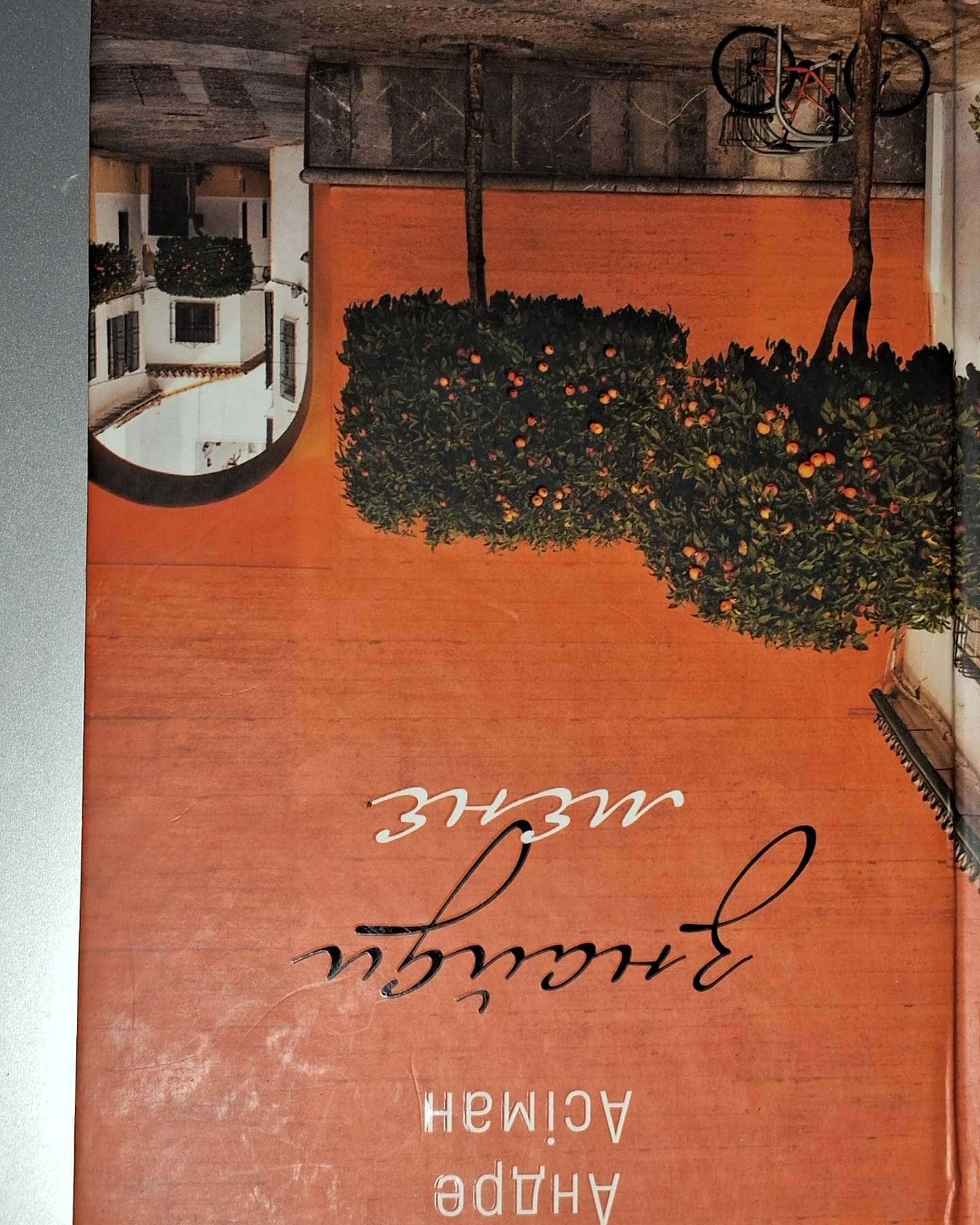 Знайди мене-Андре Асіман