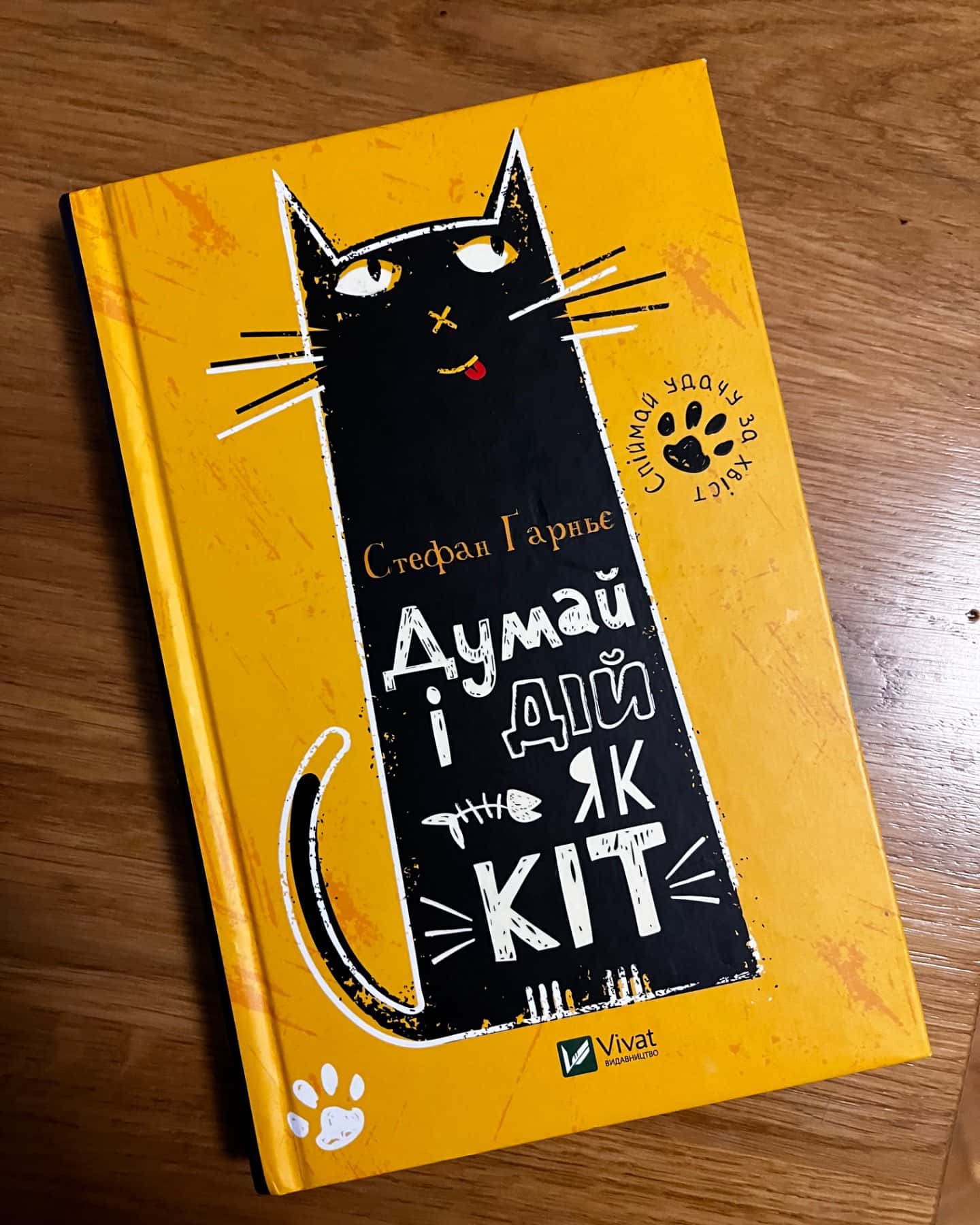 Думай і дій як кіт-Стефан Гарньє