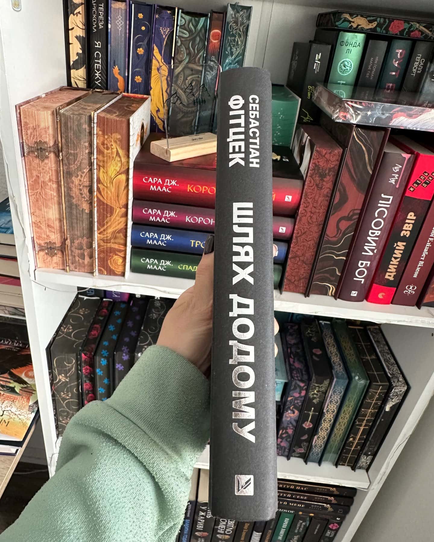 Шлях додому новинка трилер від Віват-Себастіан Фітцек