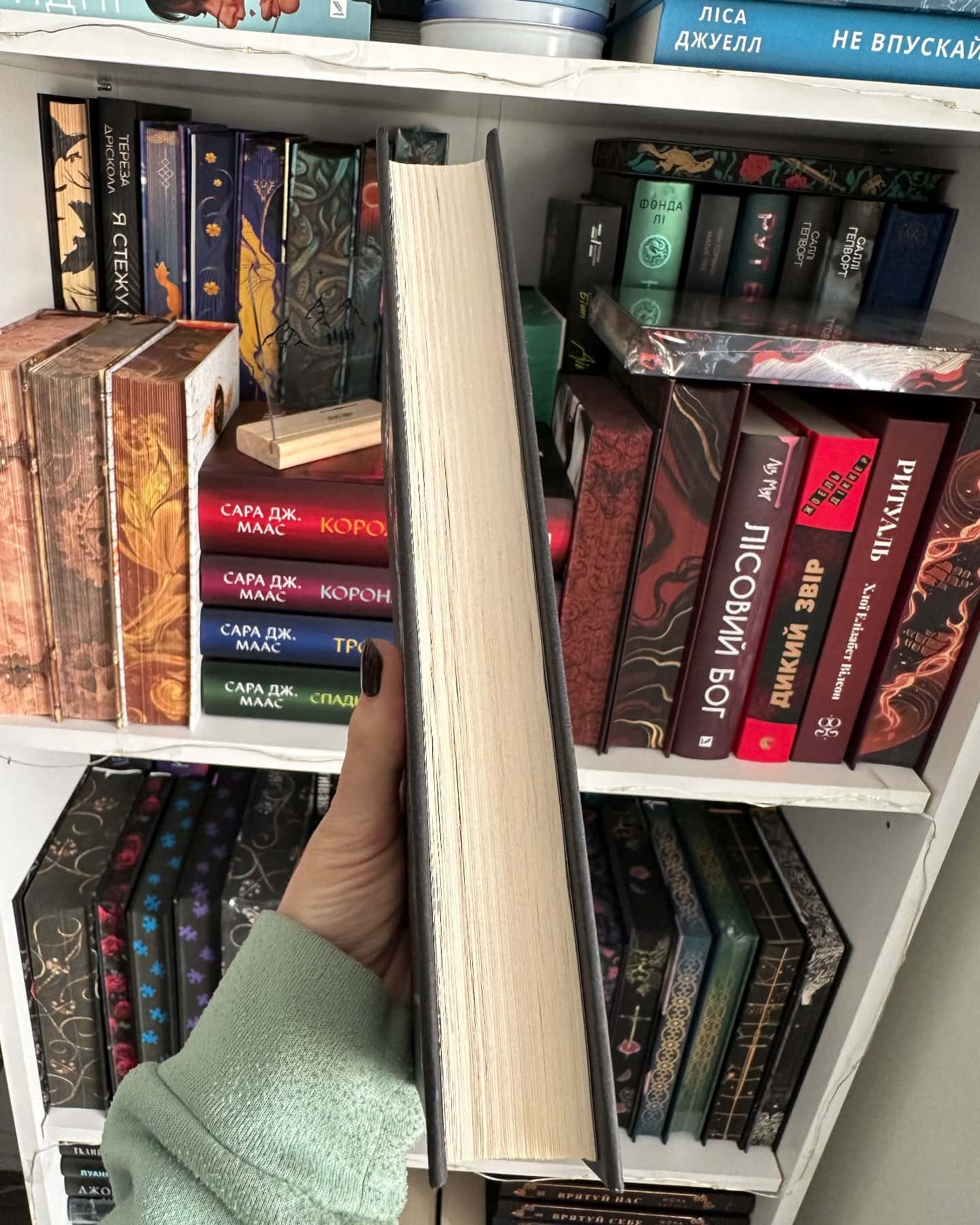 Шлях додому новинка трилер від Віват-Себастіан Фітцек