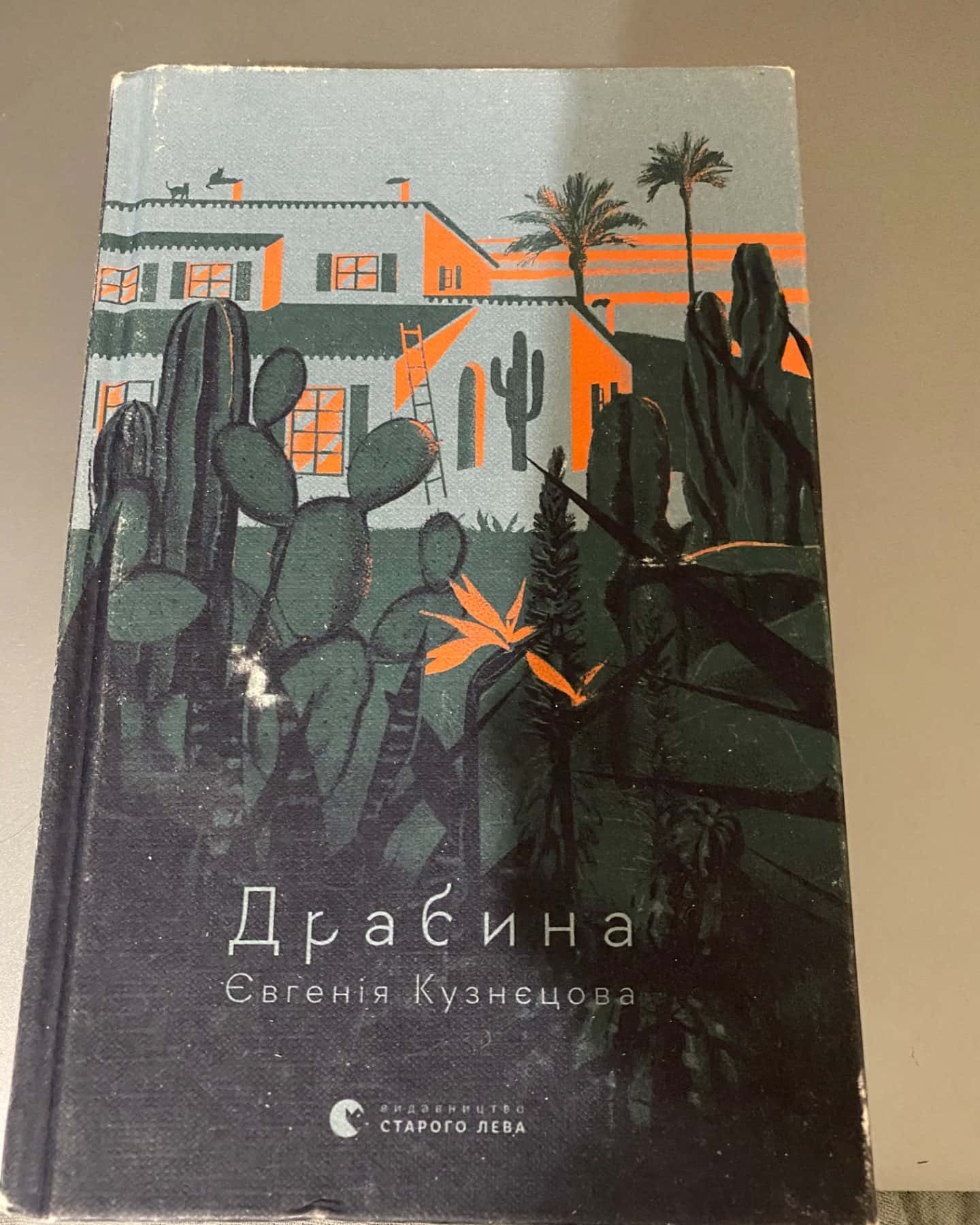 Євгенія кузнецова драбина-Кузнецова