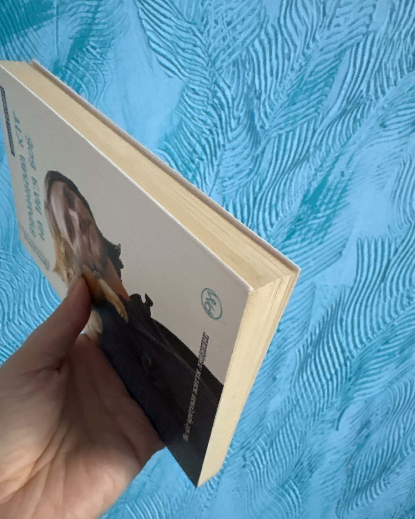 Вуличний кіт на імʼя боб-Джеймс Бовен