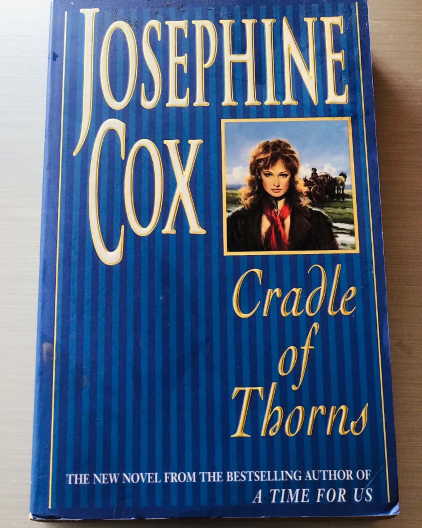 Cradle of Thorns-Josephine Cox