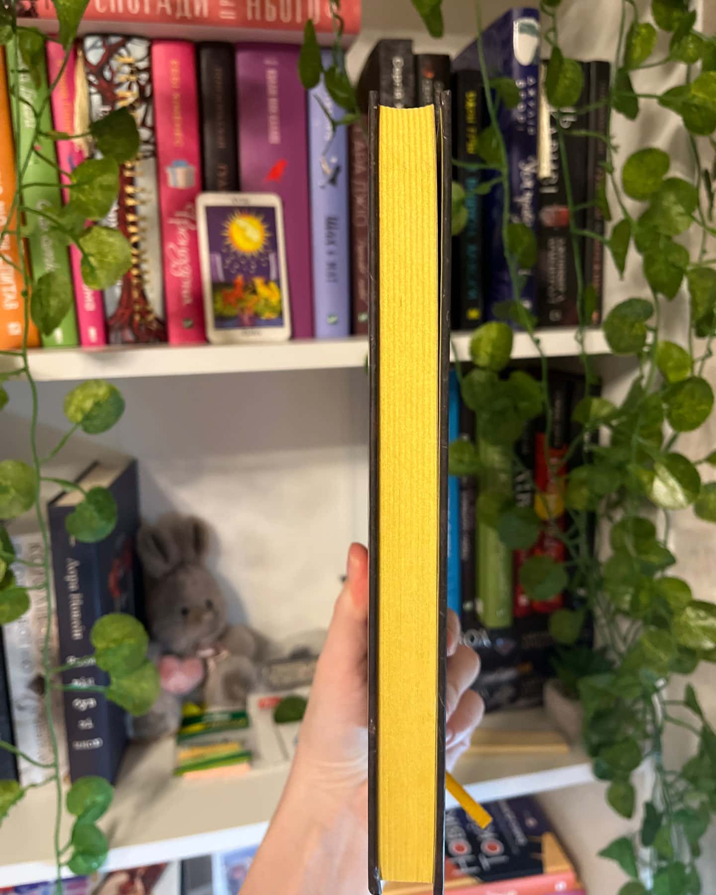 Блиск. Книга 1-Рейвен Кеннеді