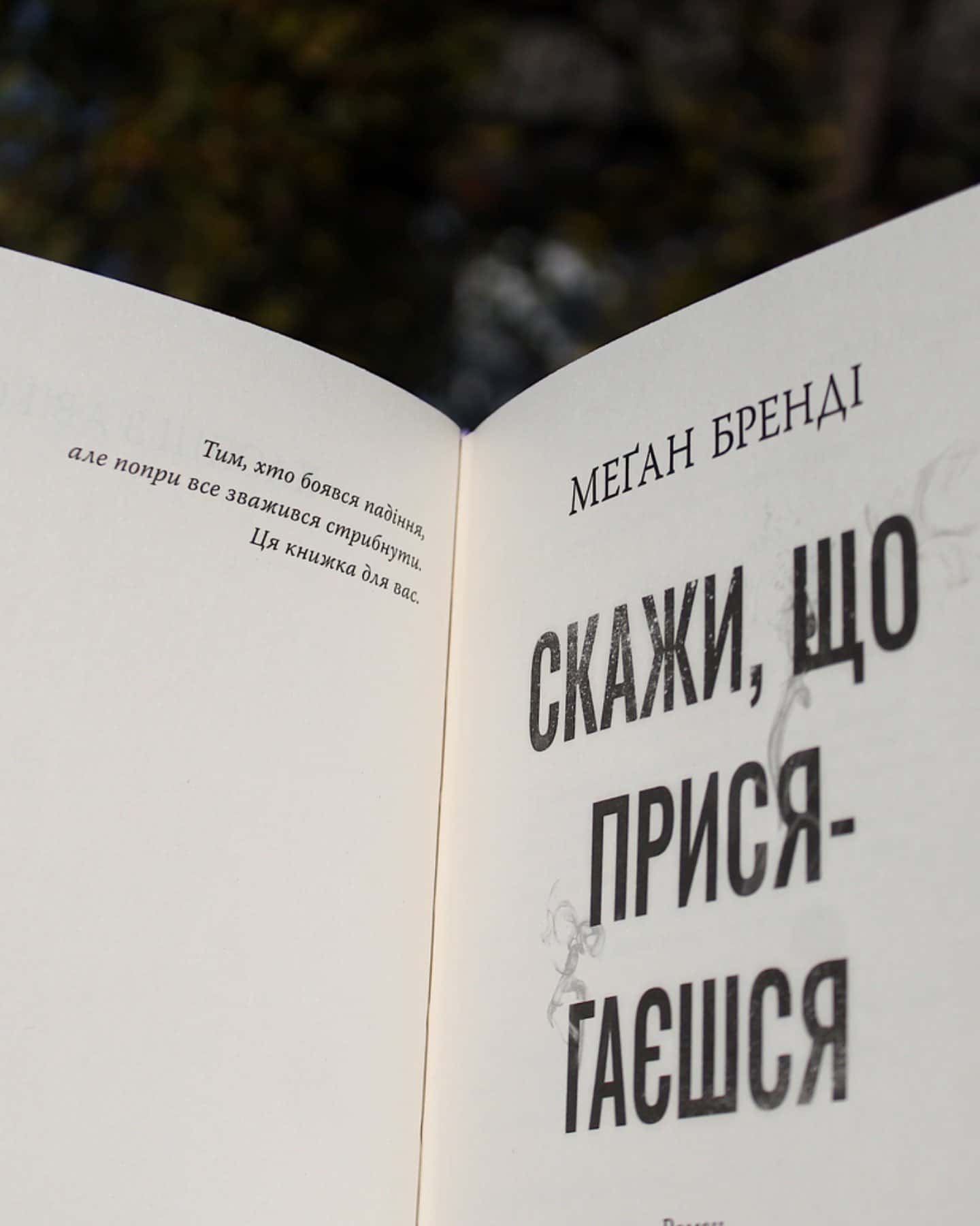 Скажи, що присягаєшся. Книга 1. Хлопці з Авіксу-Меган Бренді