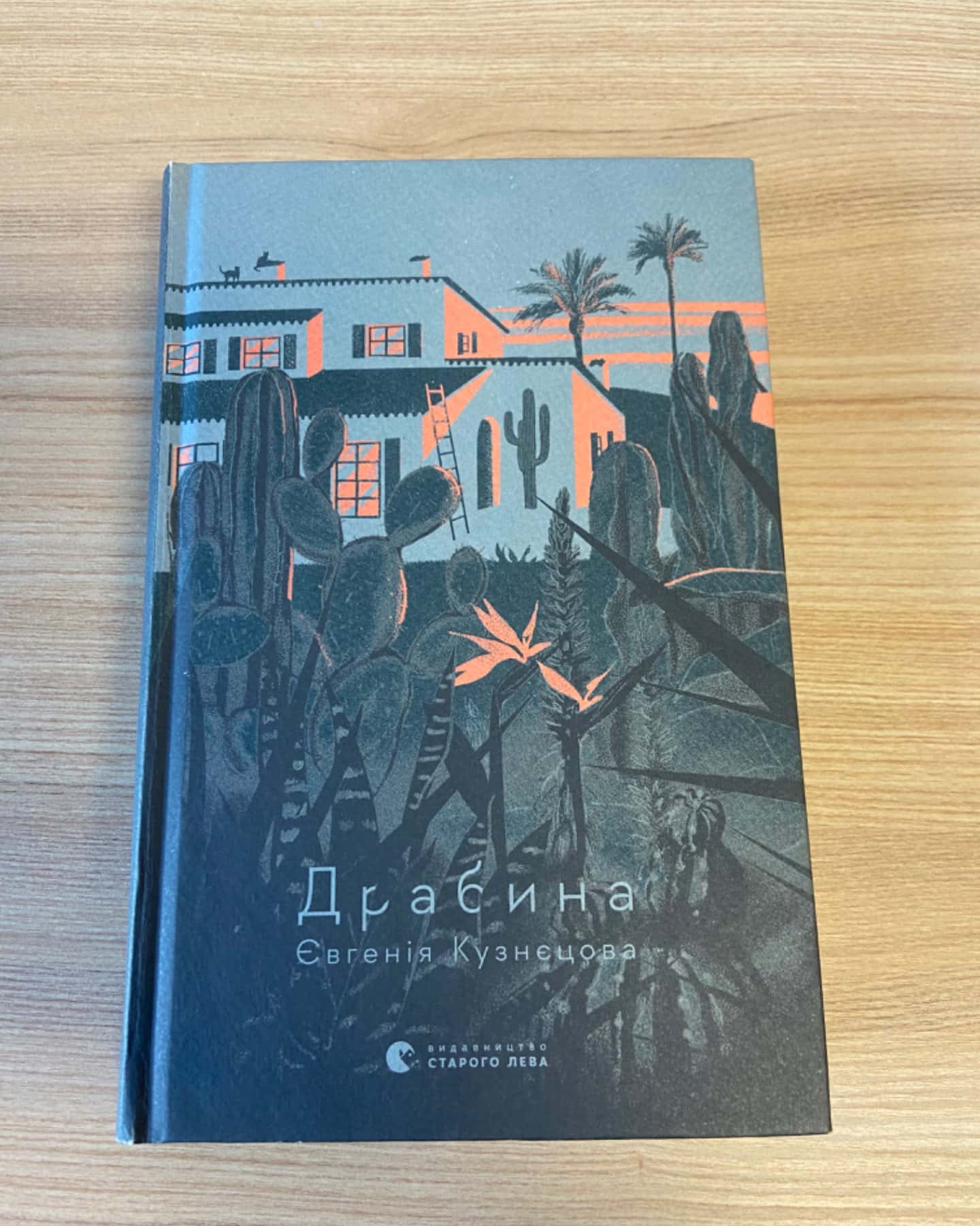 Драбина-Євгенія Кузнєцова