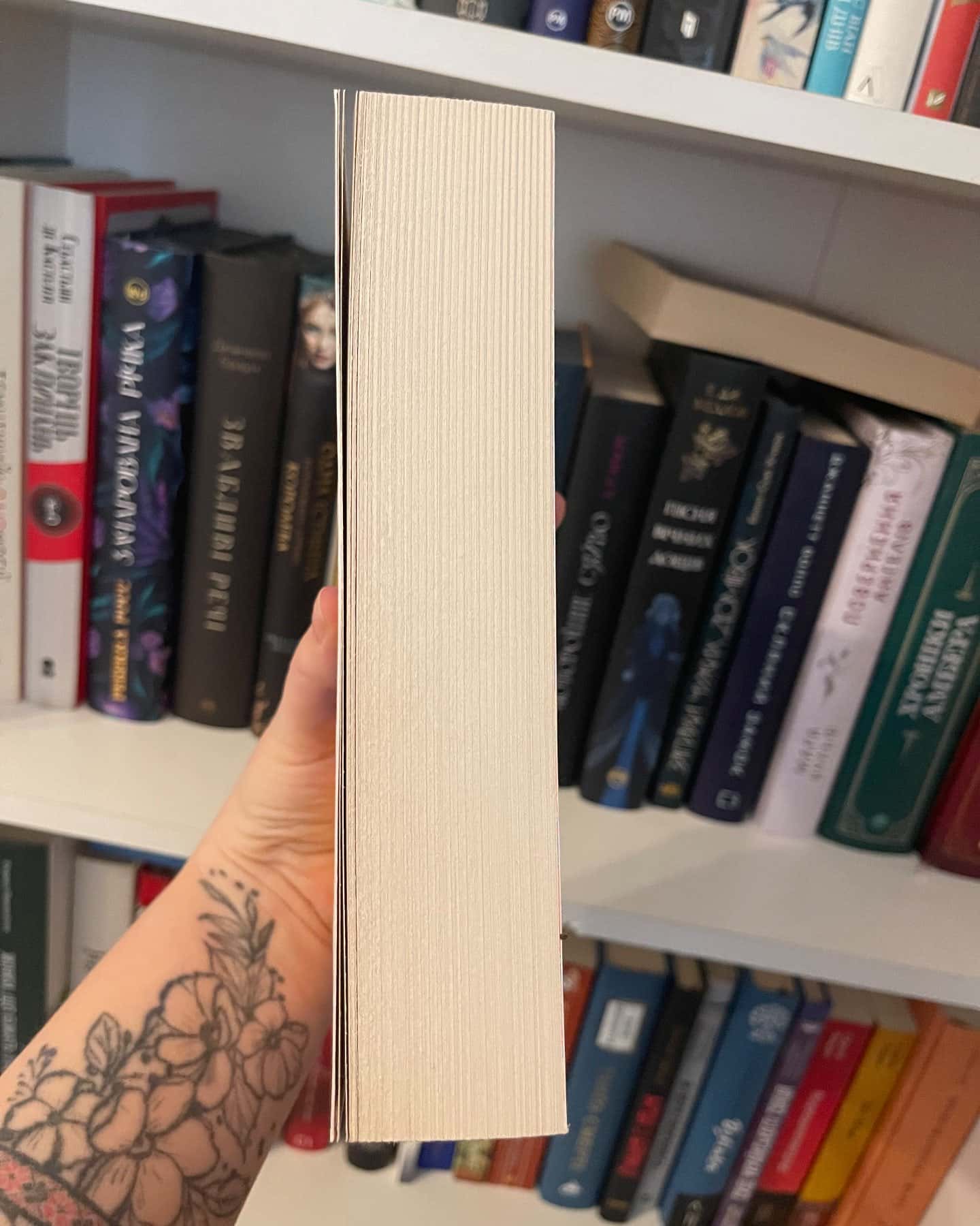 Путівник по католицькій школі для лесбійок-Сонора Реєс