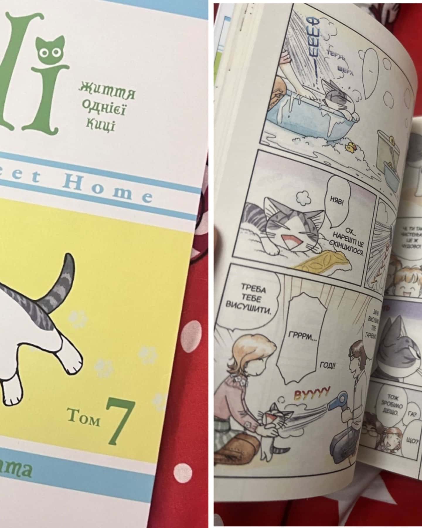 Життя однієї киці-Конамі Каната