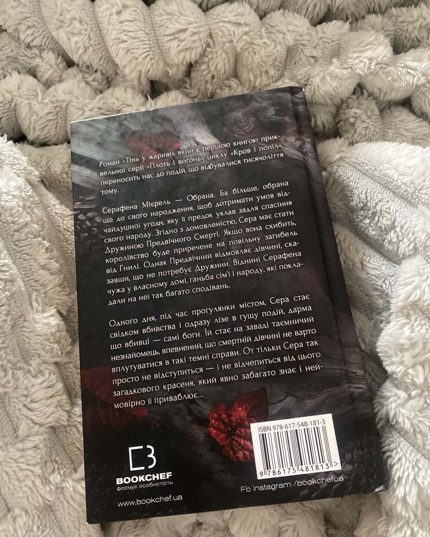 Тінь у жариві. Плоть і вогонь. Книга 1-Дженніфер Л. Арментраут