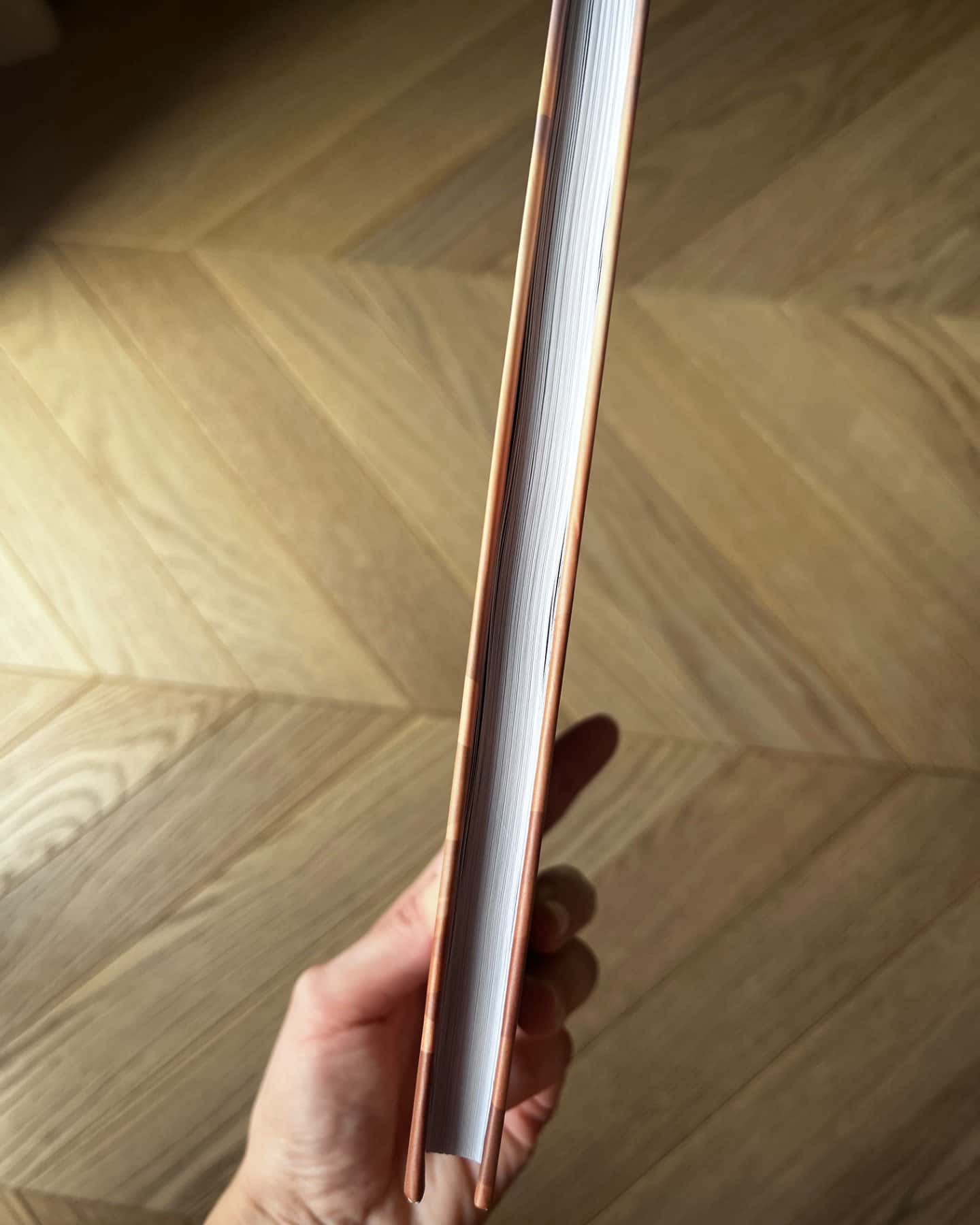 Життєве сафарі-Джон П. Стрелекі