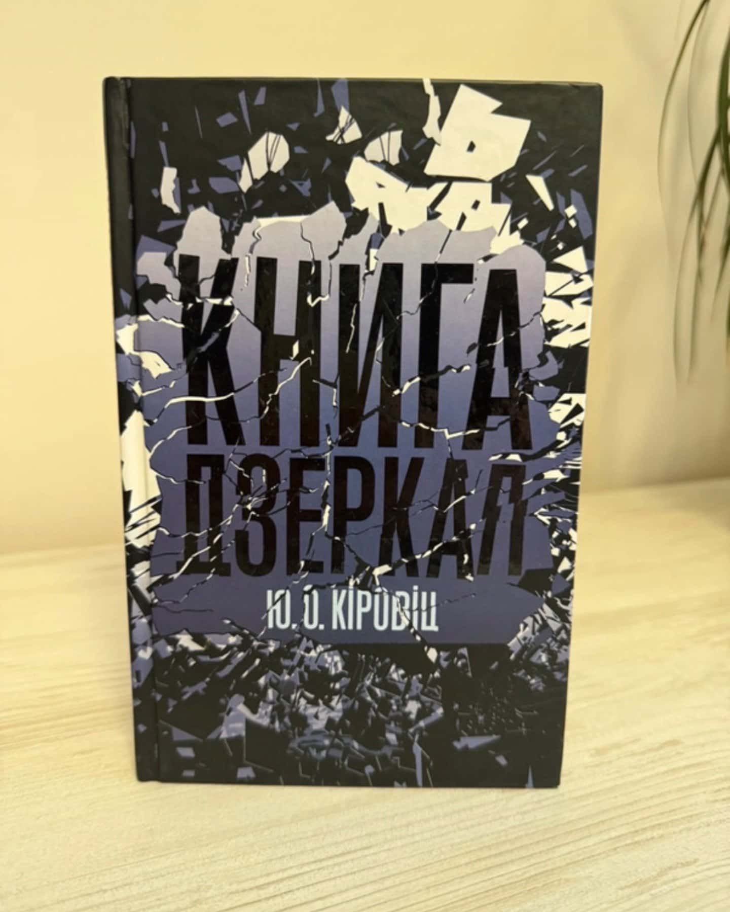 Книга дзеркал-Юджин Овідіу Кіровіц