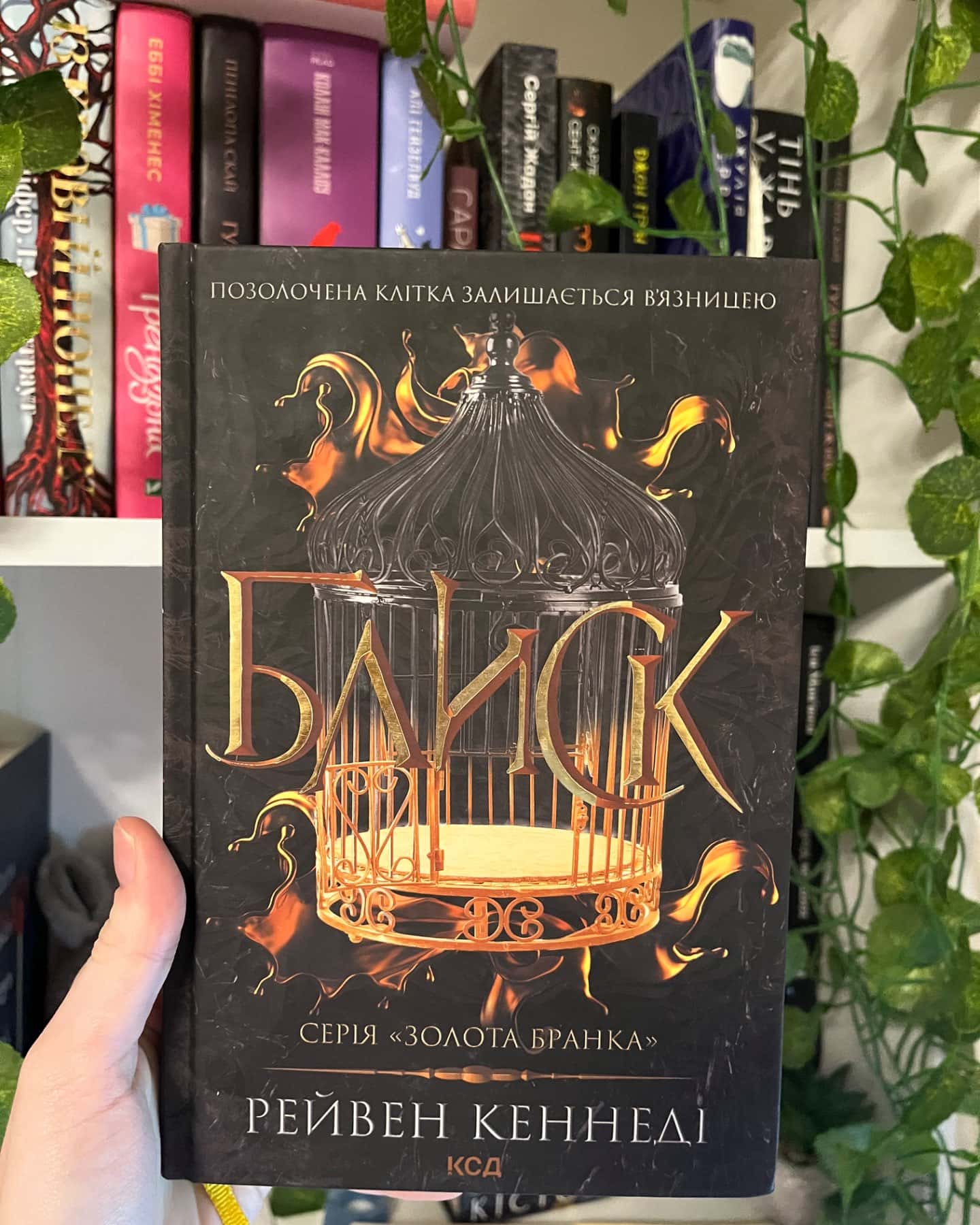 Блиск. Книга 1-Рейвен Кеннеді