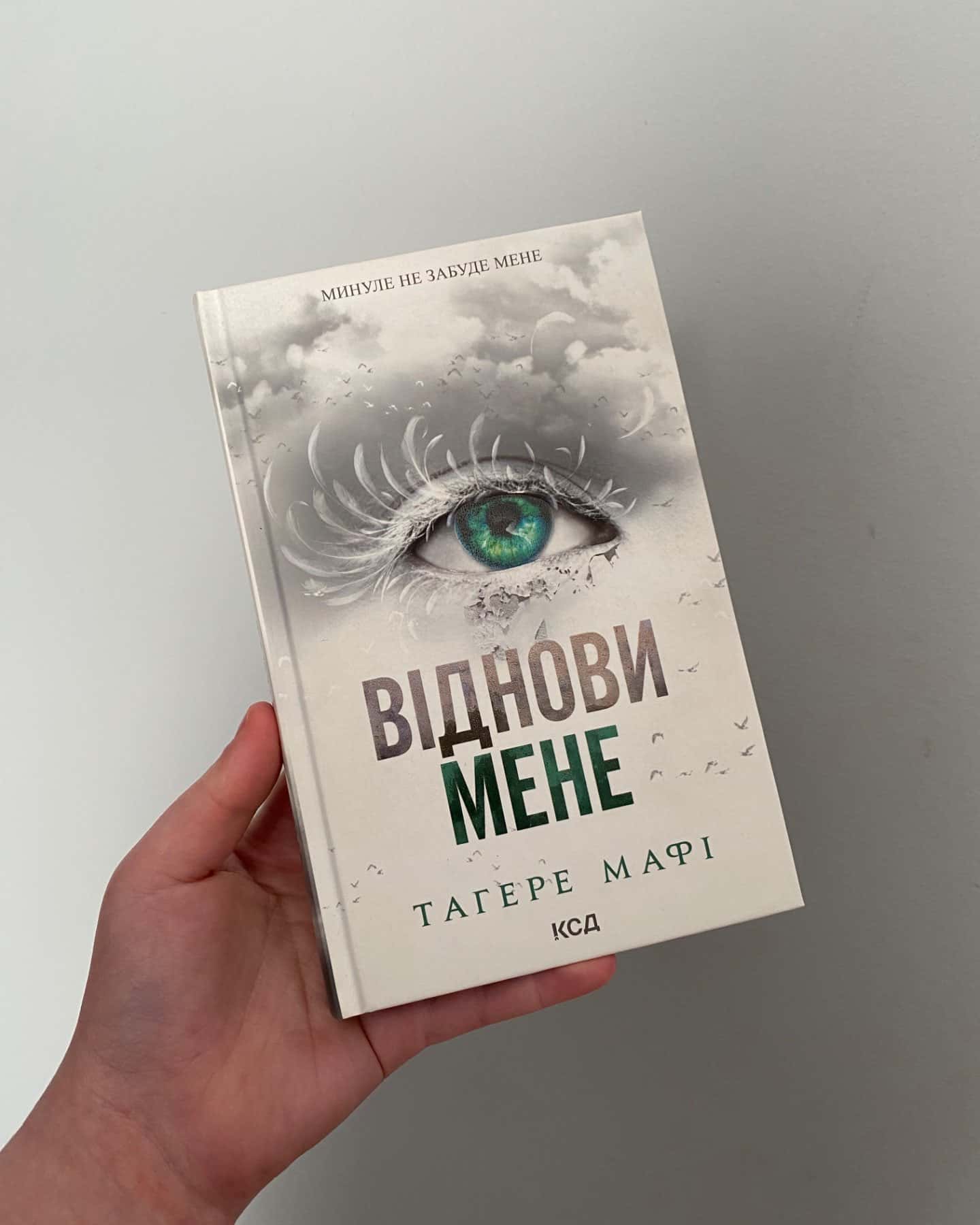 Віднови мене. Книга 4-Тагере Мафі