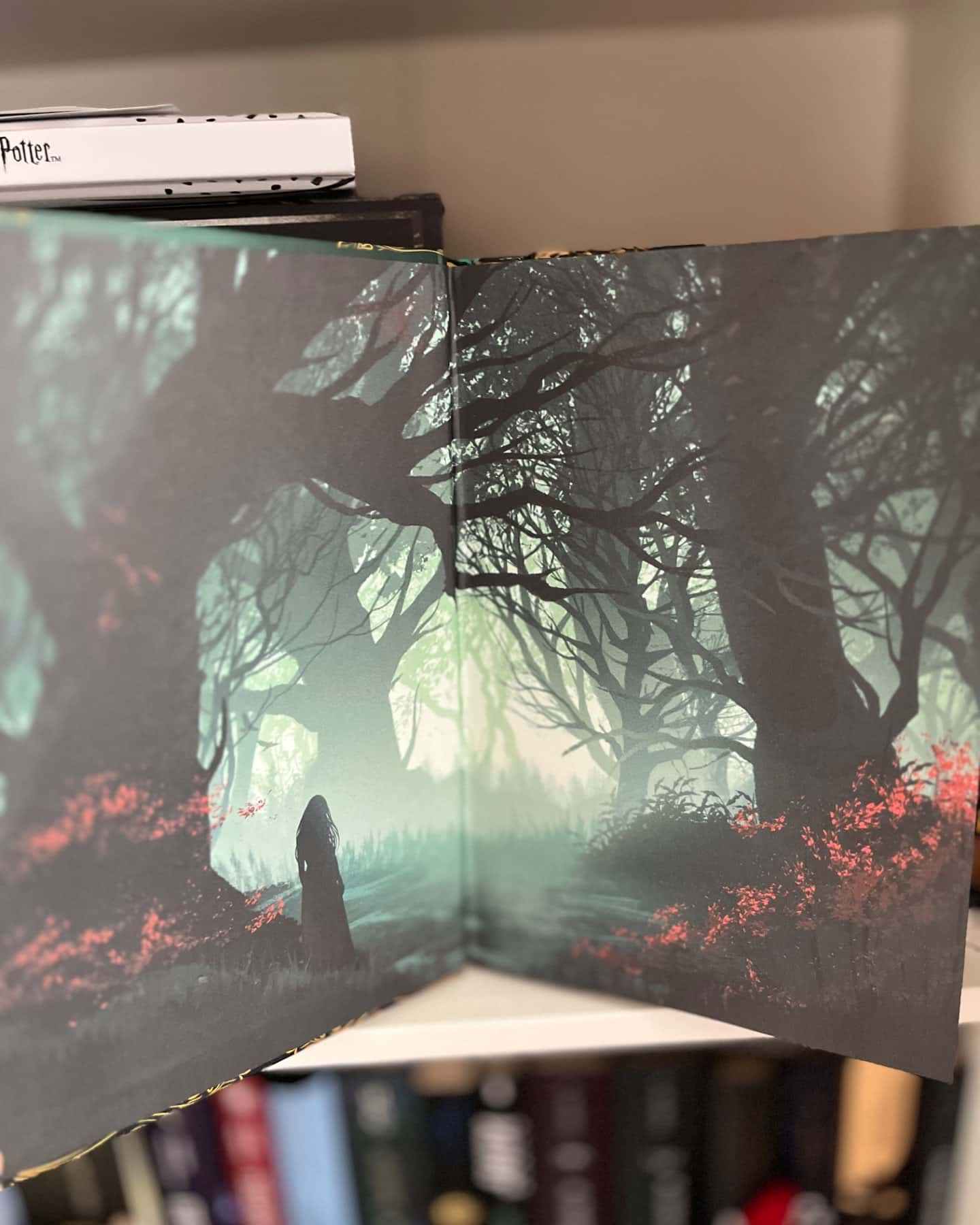 Одне темне вікно. Книга 1-Рейчел Ґілліґ