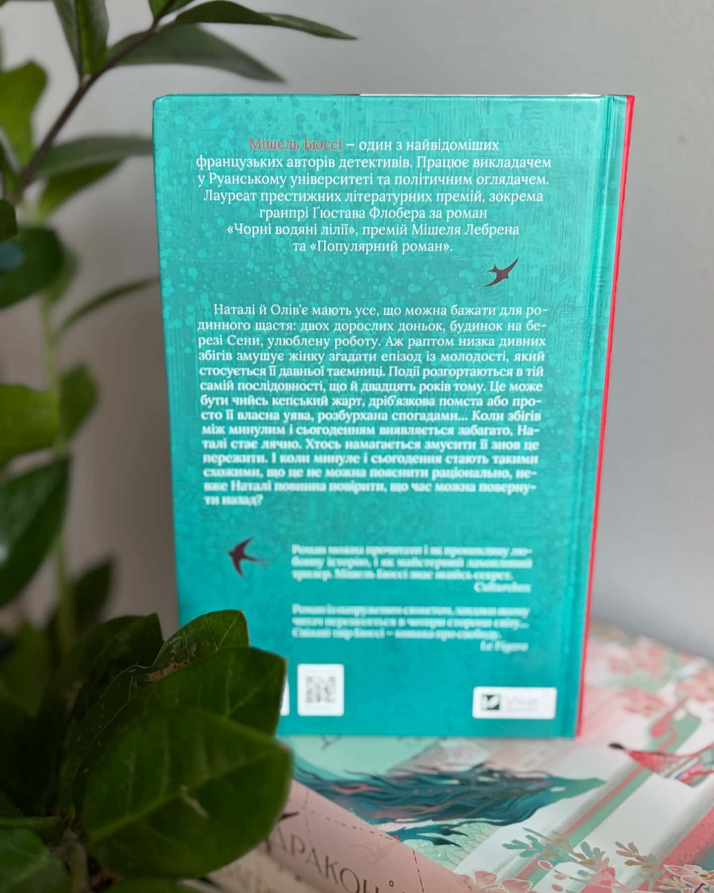 Змарновані мрії-Мішель Бюссі