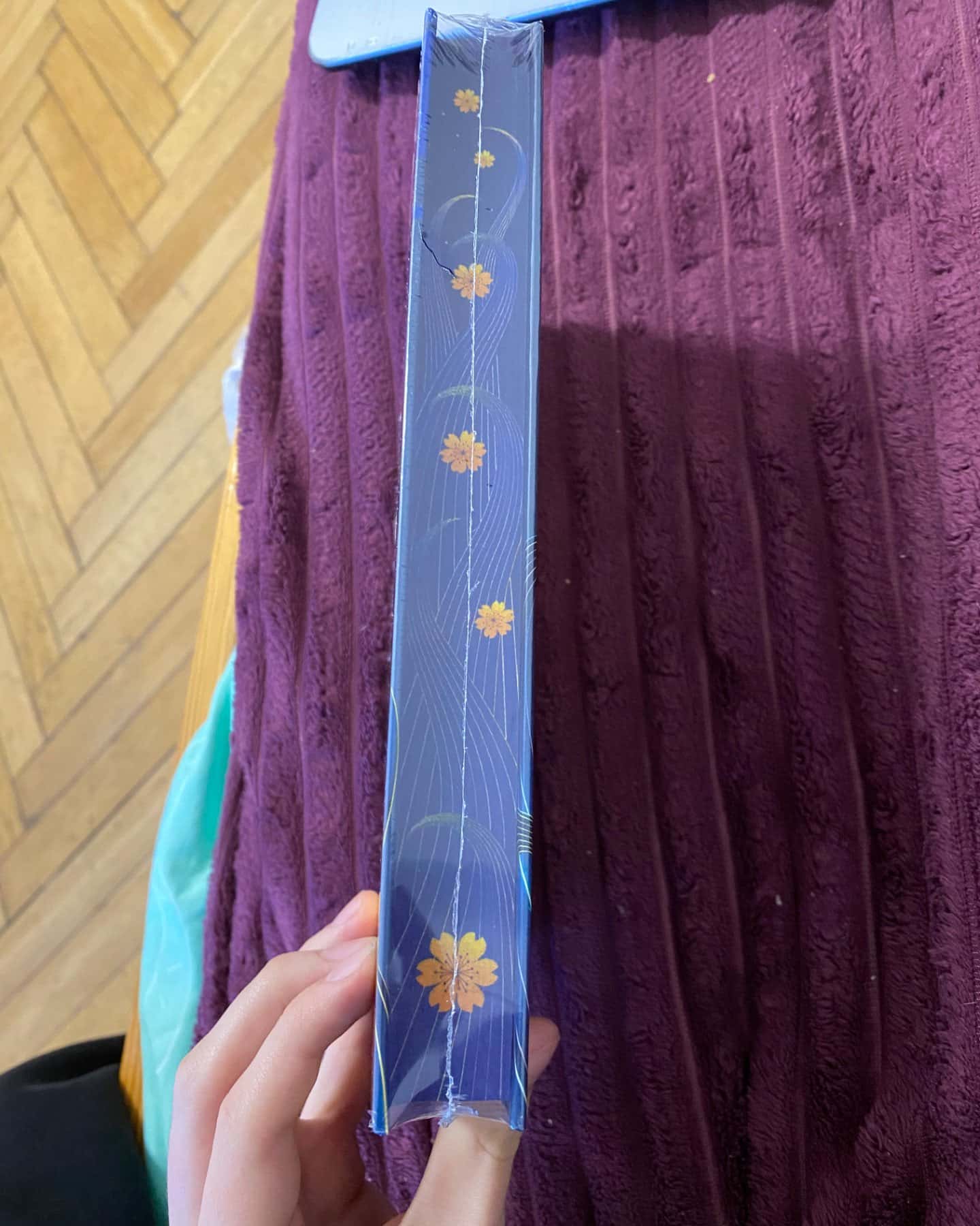 Пісня, що зупиняє ріки-Енн Лян