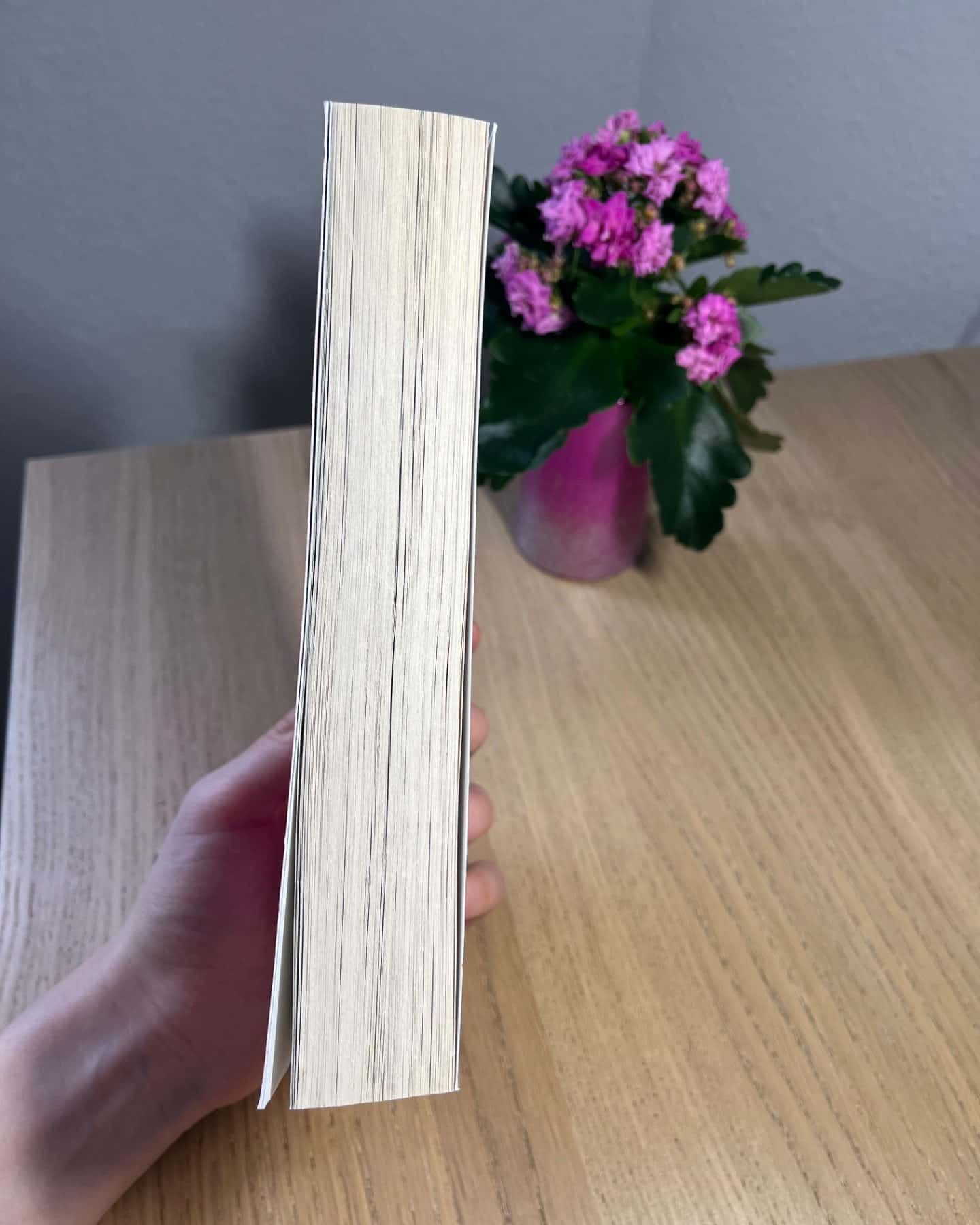 You could be so pretty-Holly Bourne