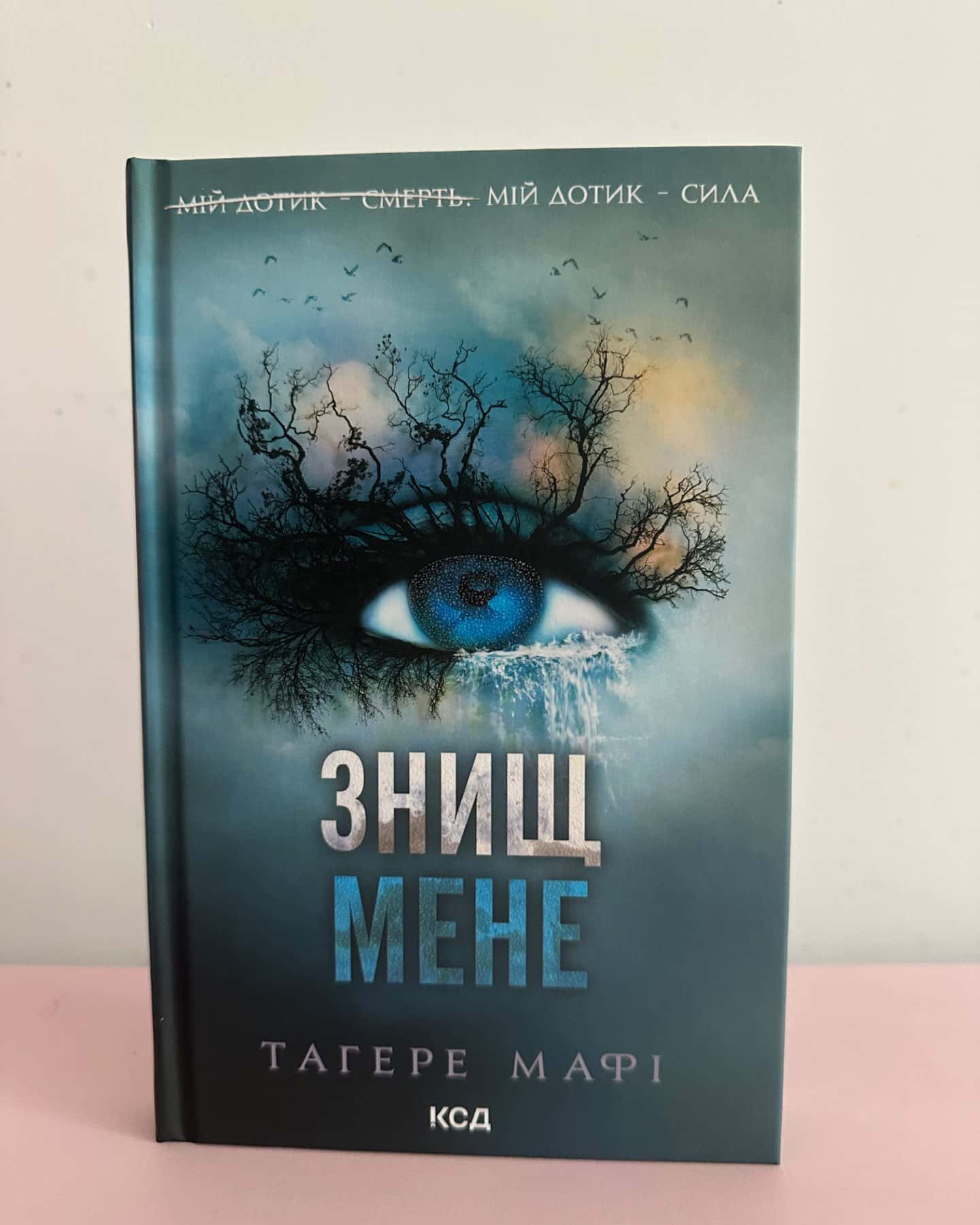 Знищ мене. Книга 1-Тагере Мафі