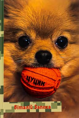 Цуцик. Антивоєнний роман