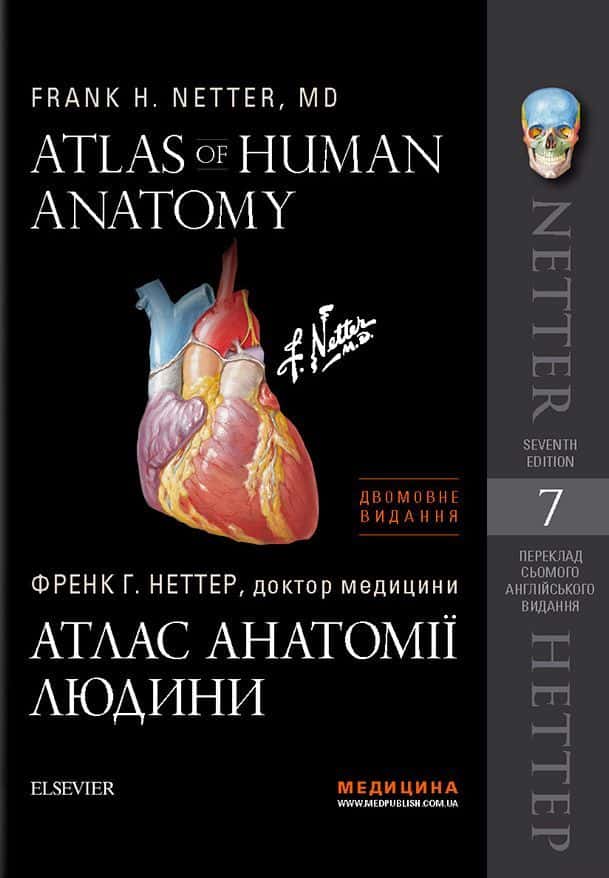 Френк Неттер - Атлас анатомії людини. Atlas of Human Anatomy