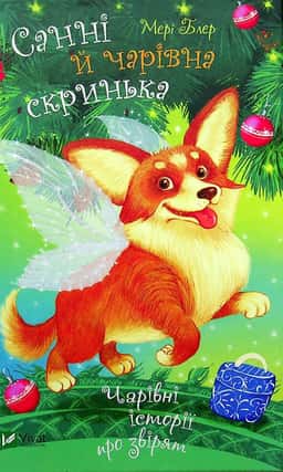 Мері Блер - Санні й чарівна скринька